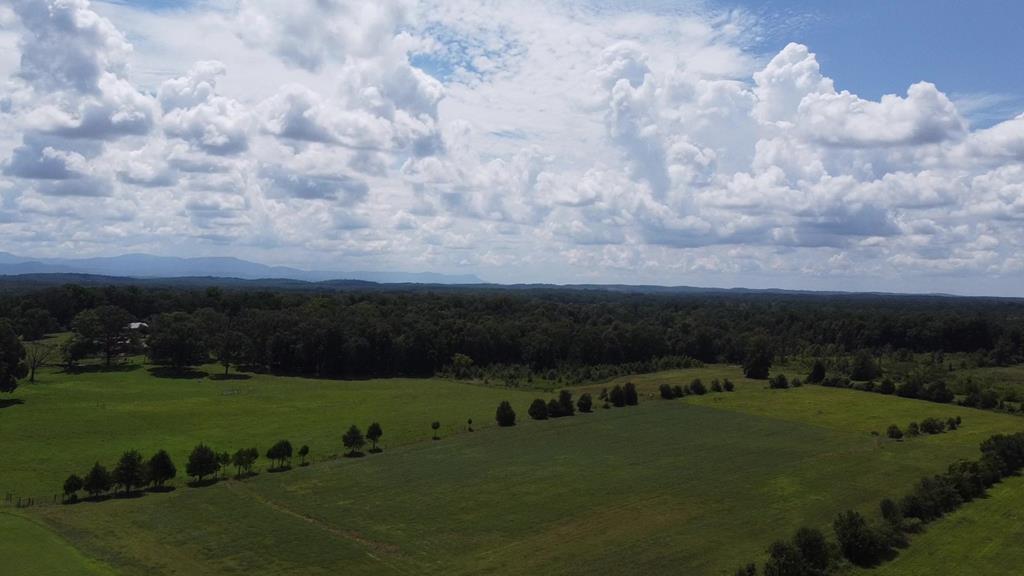 347 Strawhill Road Southeast Cleveland, TN 37323 - Photo 17 of 22 strawhill 17