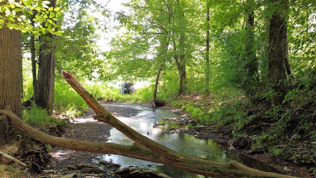 347 Strawhill Road Southeast Cleveland, TN 37323 - Photo 5 of 22 strawhill 5
