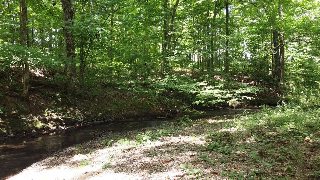 347 Strawhill Road Southeast Cleveland, TN 37323 - Photo 7 of 22 strawhill 7