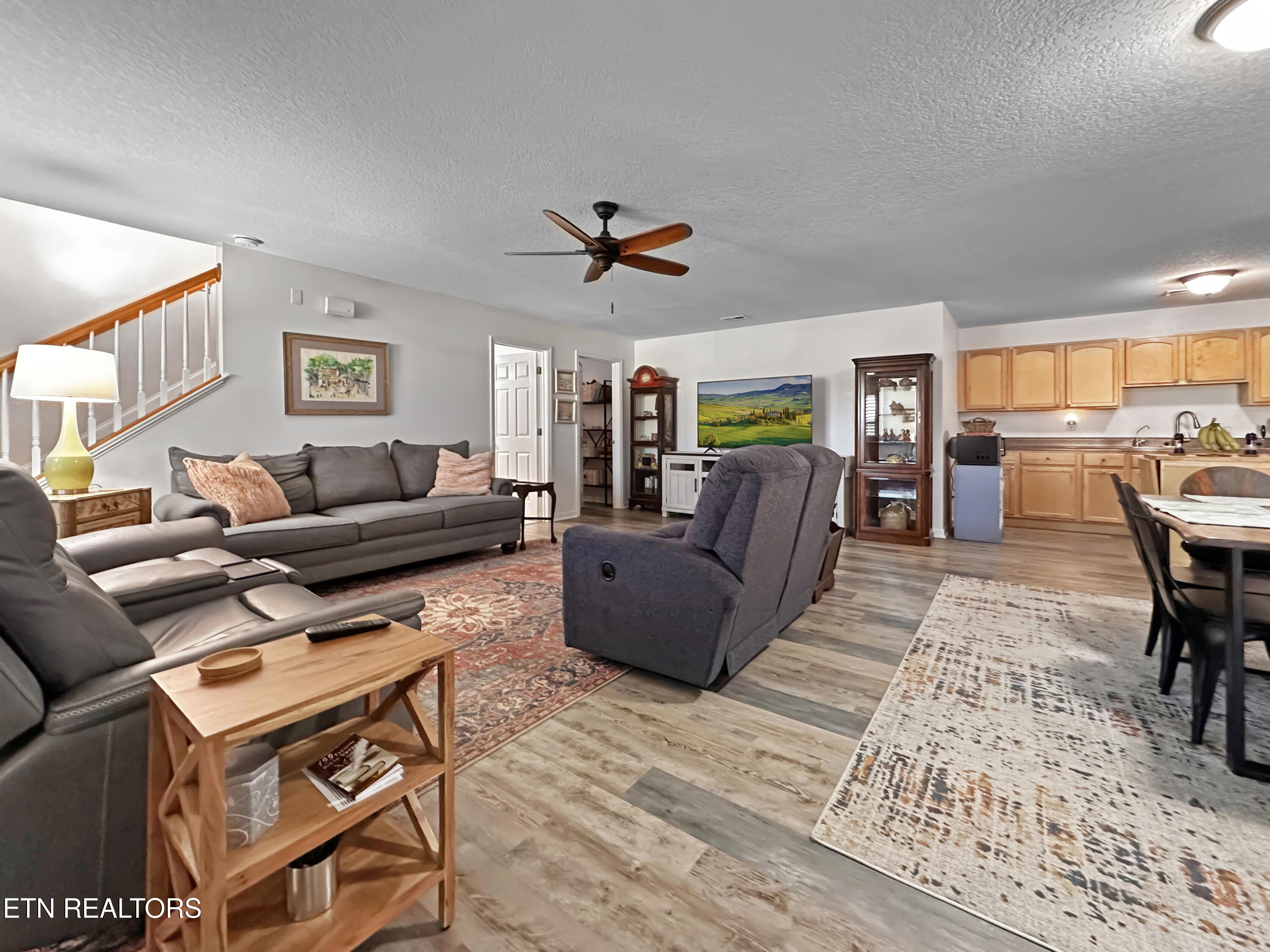 7341 Fort Apache Road Corryton, TN 37721 - Photo 23 of 28 Basement Living Room & Kitchenette