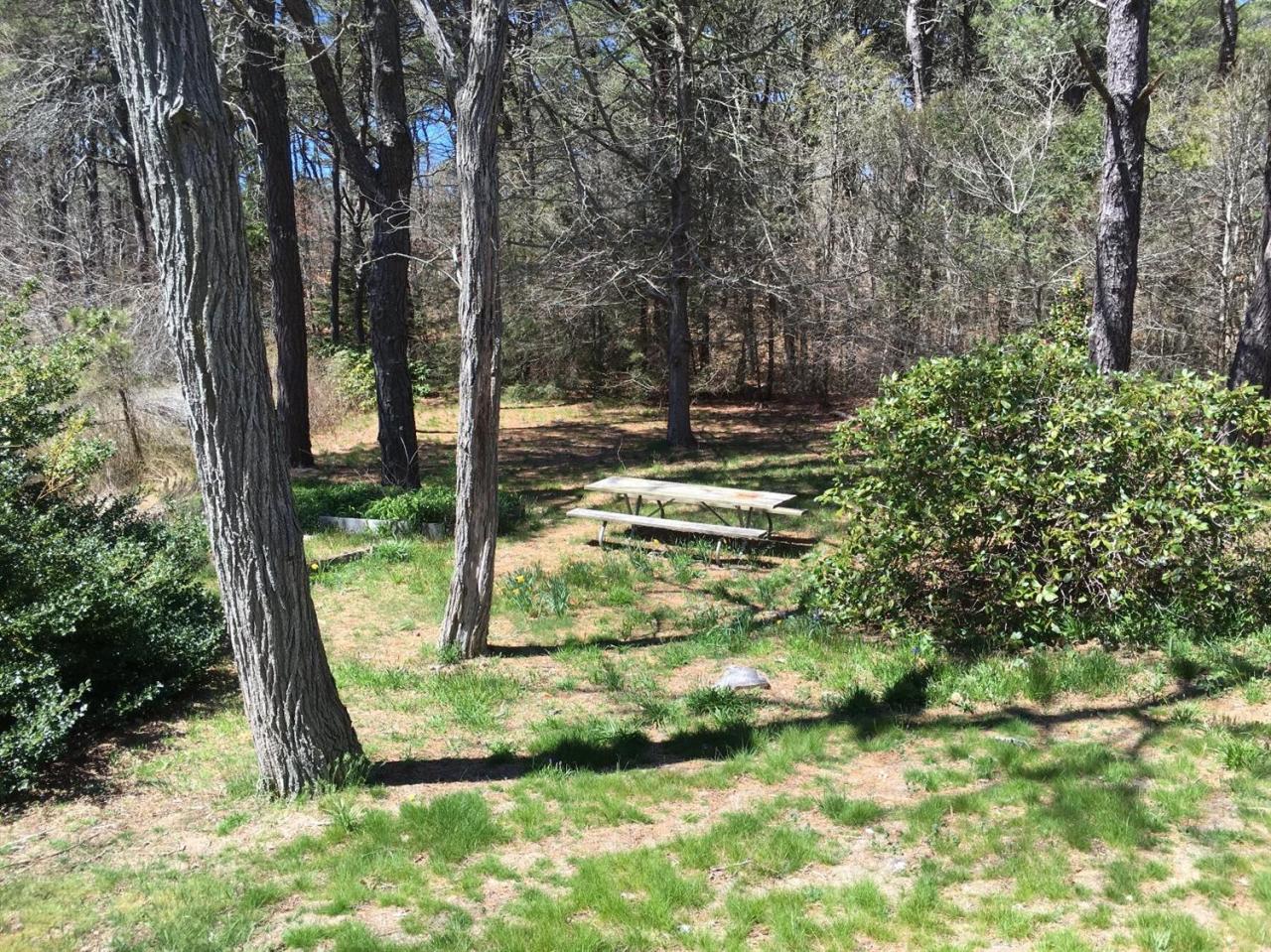 35 Split Rail Road Eastham, MA 02642 - Photo 5 of 28 a view of a garden with a tree