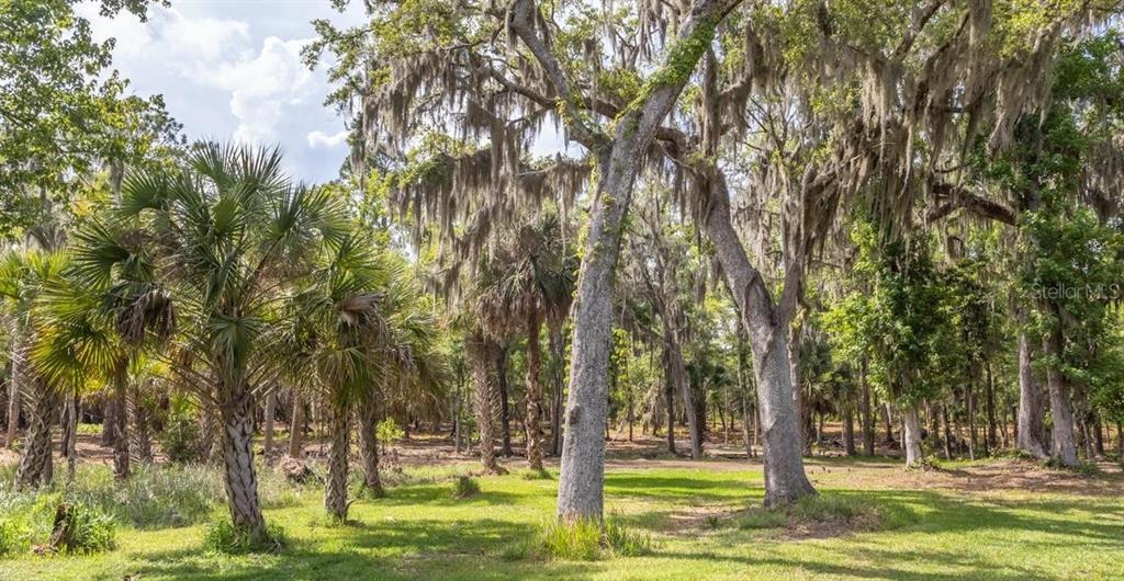 7149 Fitzpatrick Lane Jacksonville, FL 32226 - Photo 22 of 69