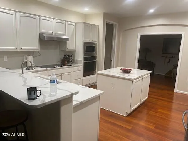 a kitchen with a sink a stove and refrigerator