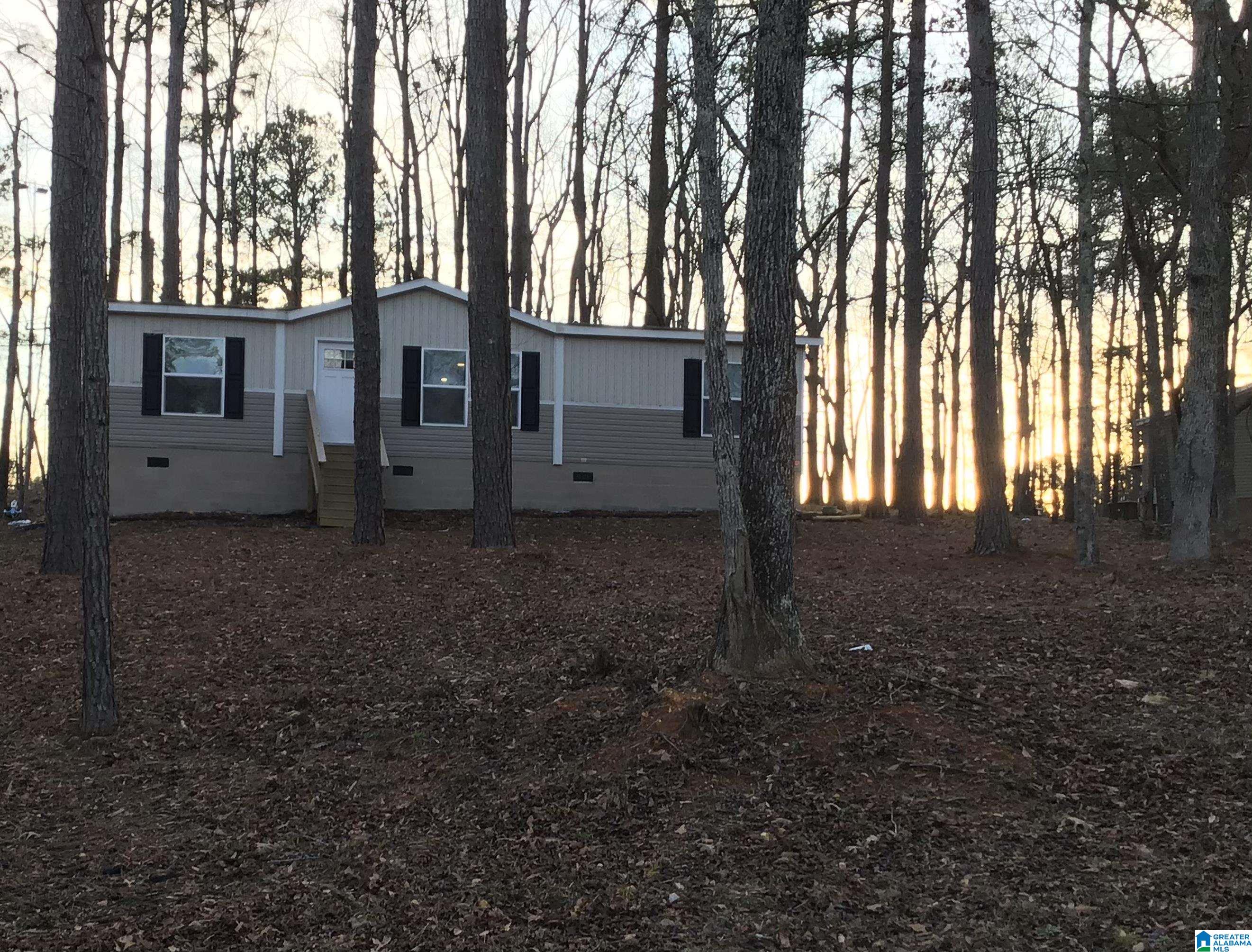 101 Wilson Glenn Road Wilsonville, AL 35186 - Photo 4 of 16
