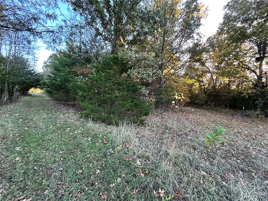 4355 Licklider Road Cuba, MO 65453 - Photo 46 of 51