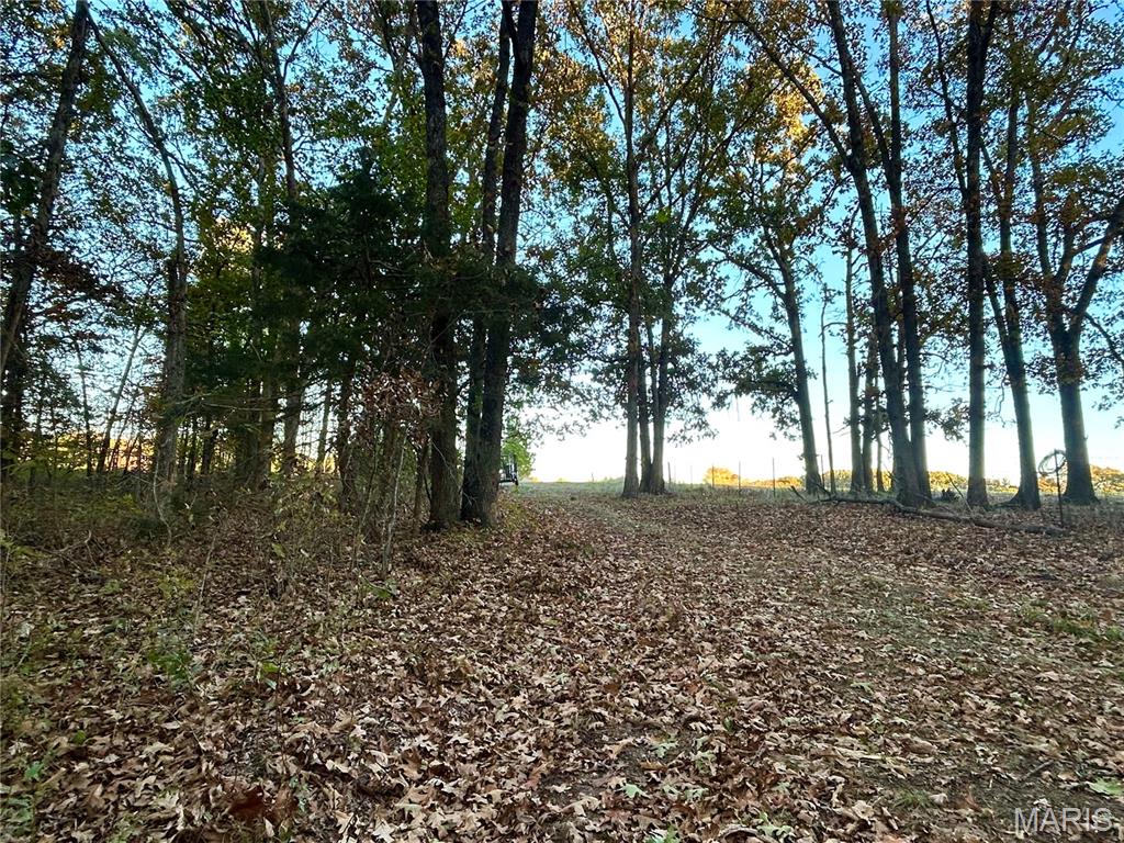 4355 Licklider Road Cuba, MO 65453 - Photo 48 of 51