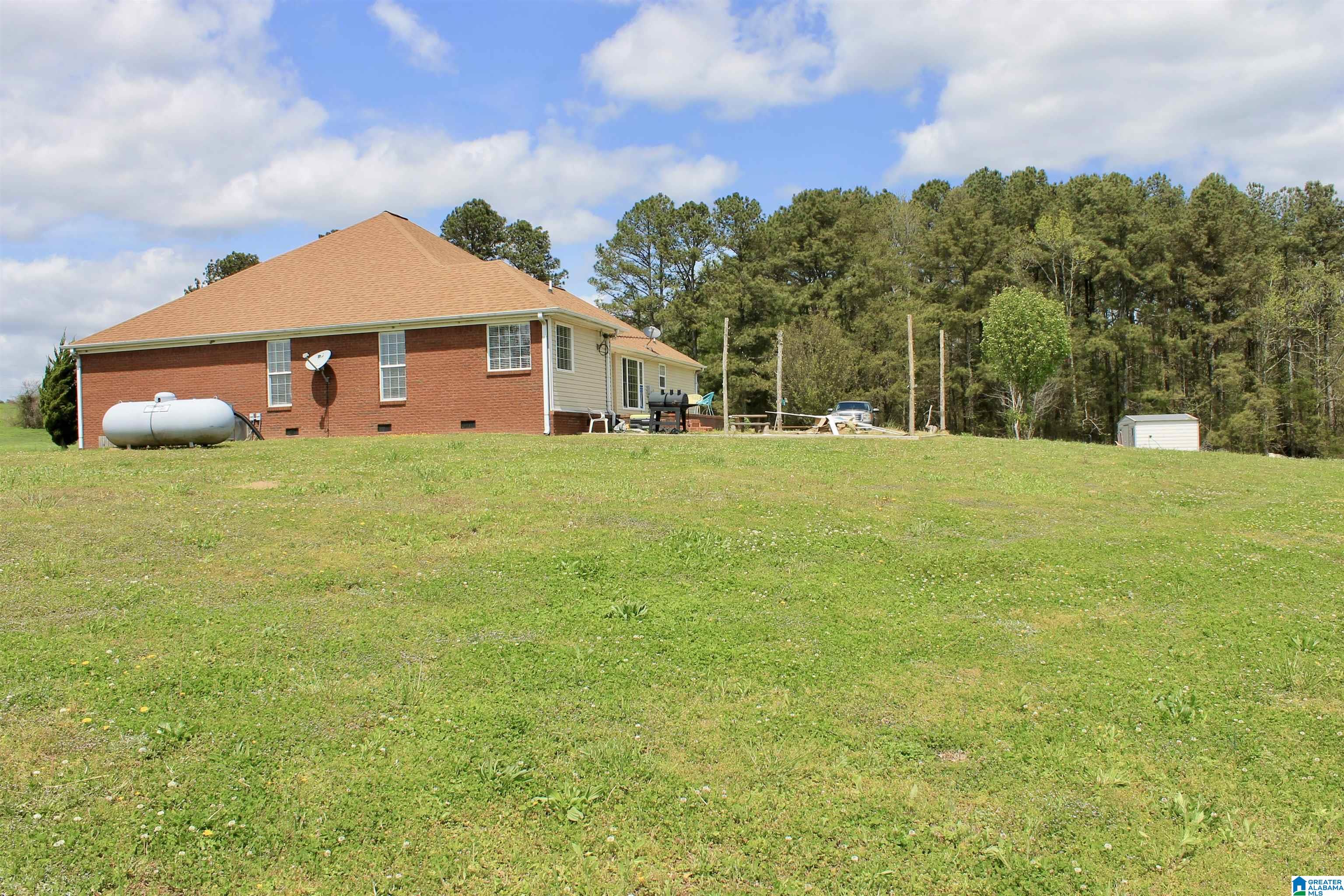 235 Lake Road Steele, AL 35987 - Photo 21 of 23