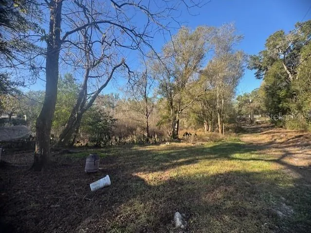 a view of a yard with a tree