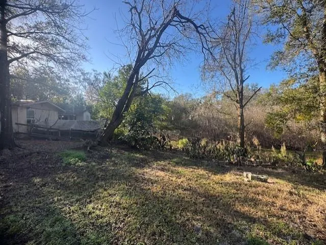 a view of backyard of green space