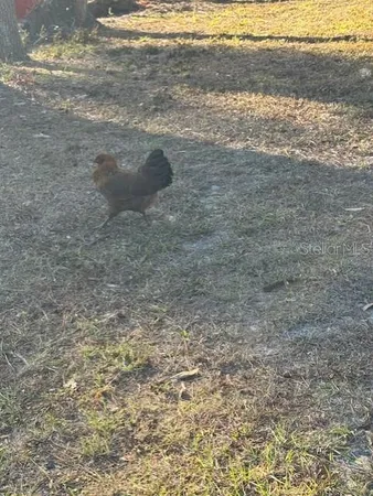 $167,900 | 12512 Cr 685 Webster, Webster, FL 33597