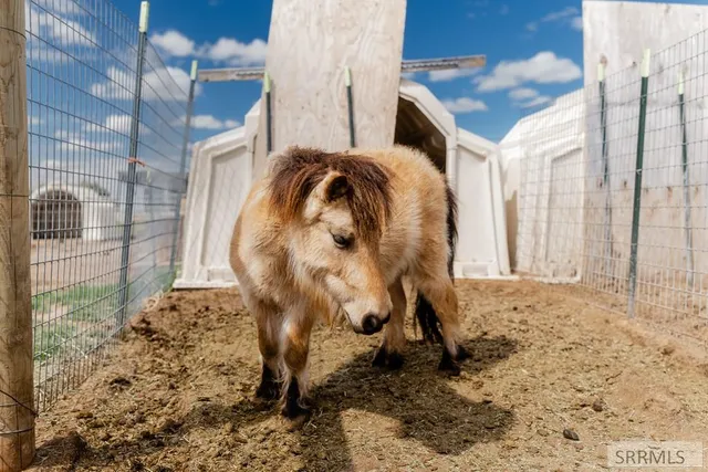 $1,650,000 | 1241 East Lazy Lane, Idaho Falls, ID 83404