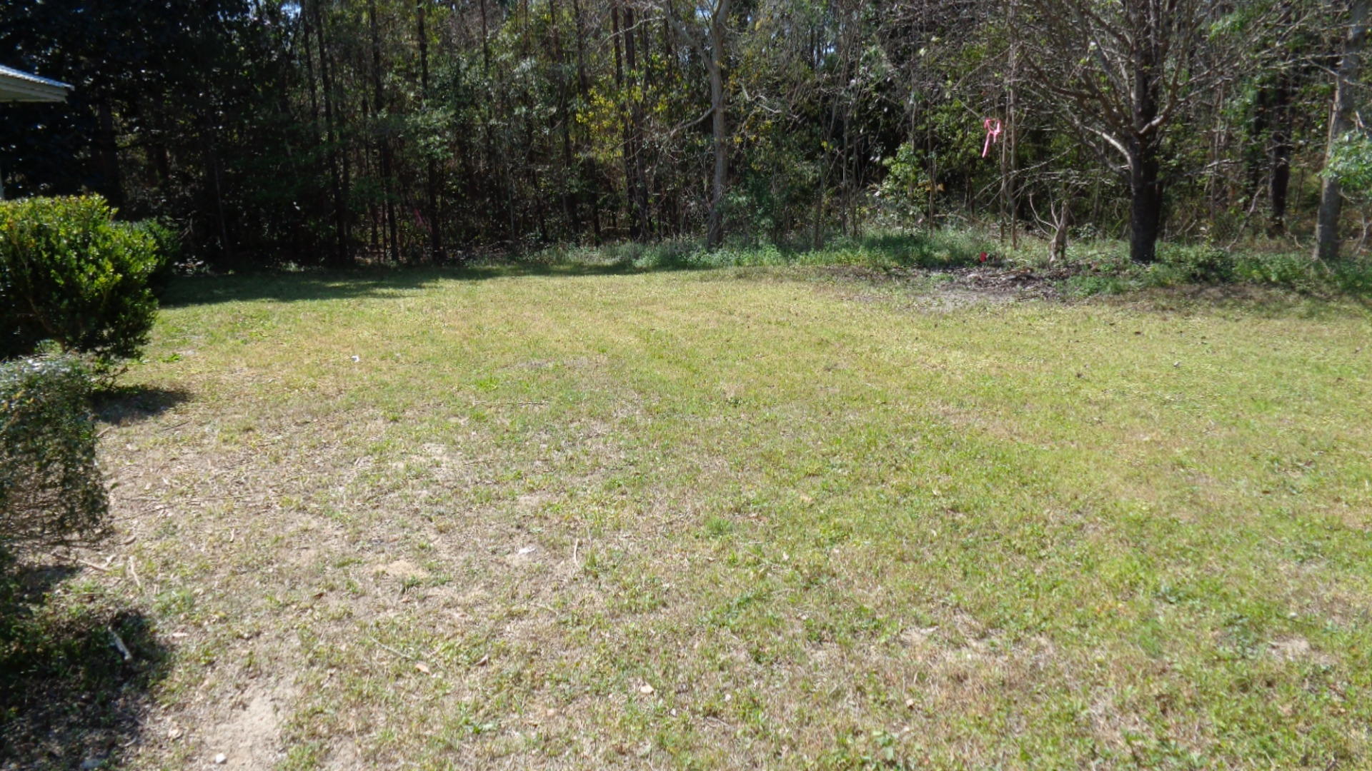 100 Central 6th Street Santa Rosa Beach, FL 32459 - Photo 3 of 13 Rear Yard