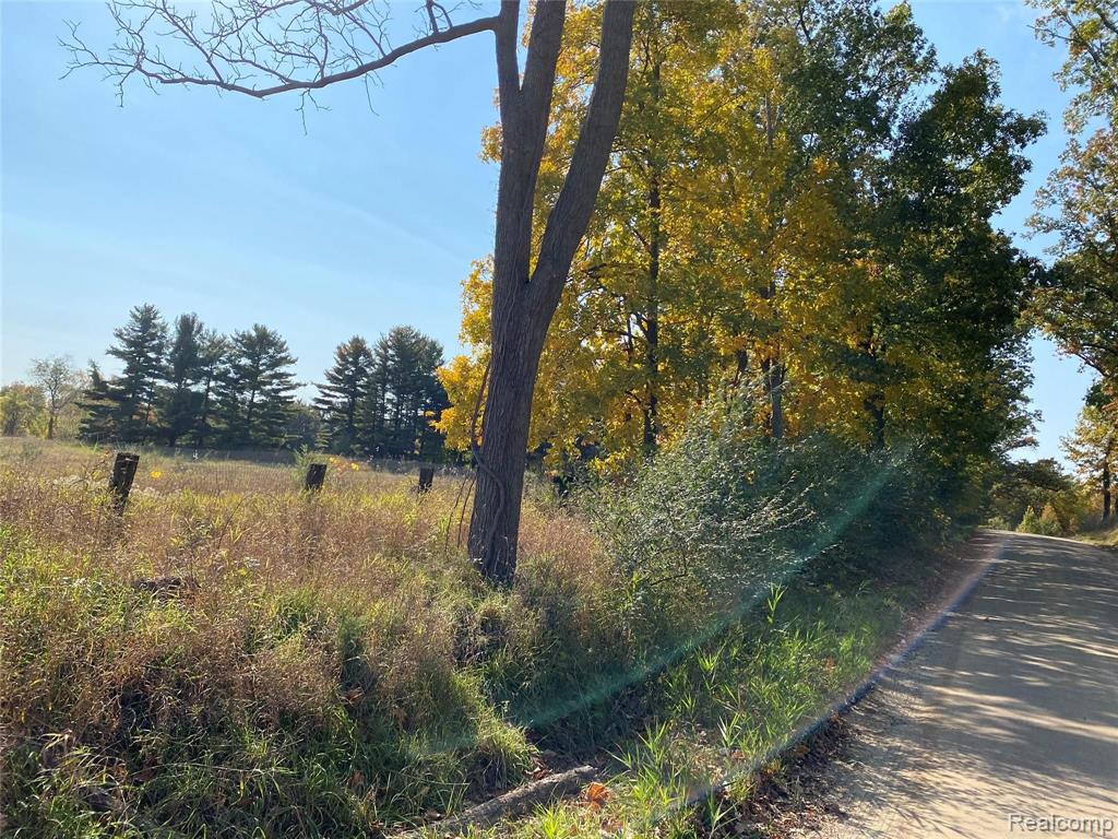 0 Sexton Road Howell, MI 48843 - Photo 3 of 3