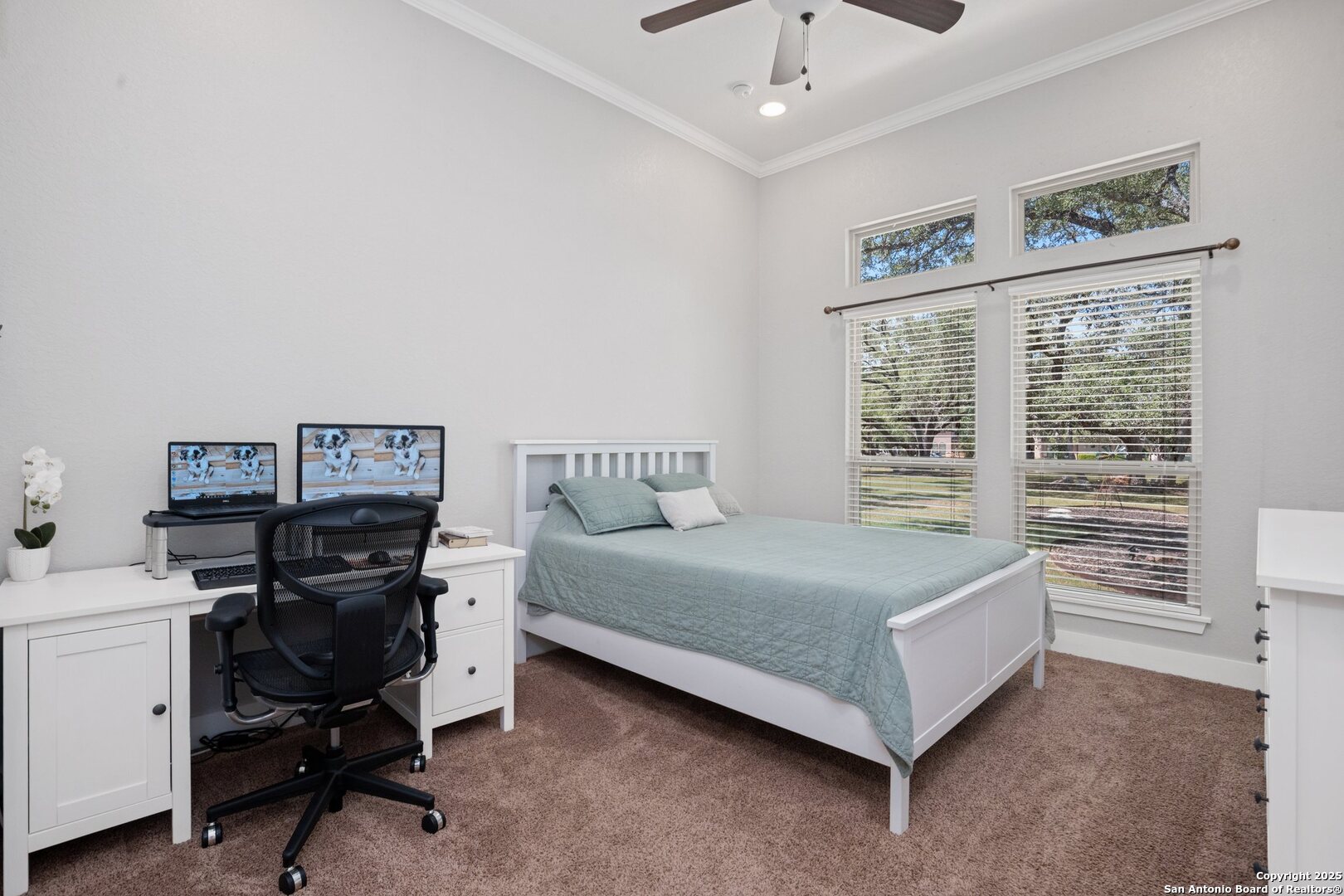 10015 Kopplin Road New Braunfels, TX 78132 - Photo 15 of 38 a bedroom with a bed and a desk