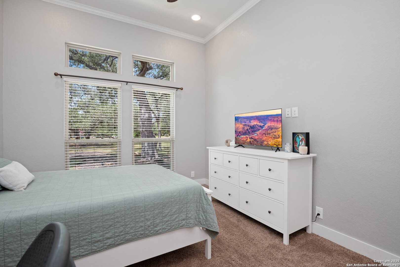 10015 Kopplin Road New Braunfels, TX 78132 - Photo 16 of 38 a bedroom with a bed and a window