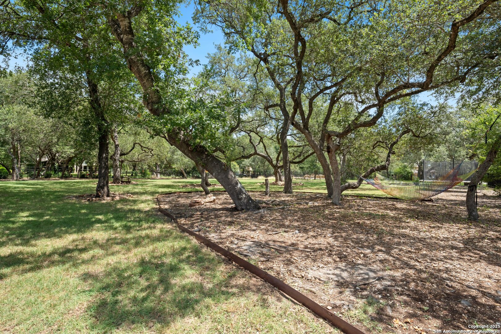 10015 Kopplin Road New Braunfels, TX 78132 - Photo 37 of 38 a view of backyard with tree