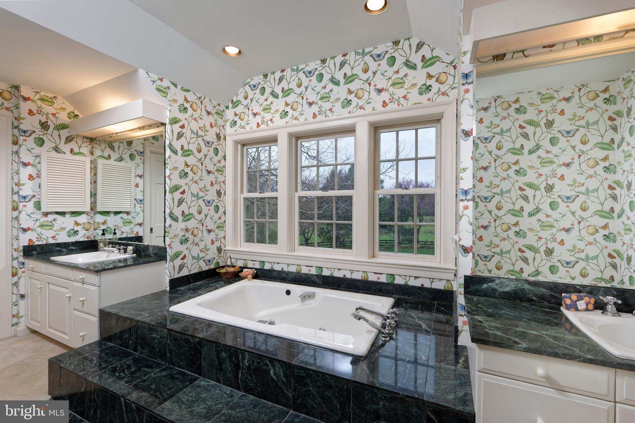 154 Clay Hill Road Boyce, VA 22620 - Photo 19 of 49 a bathroom with a granite countertop sink and a bathtub