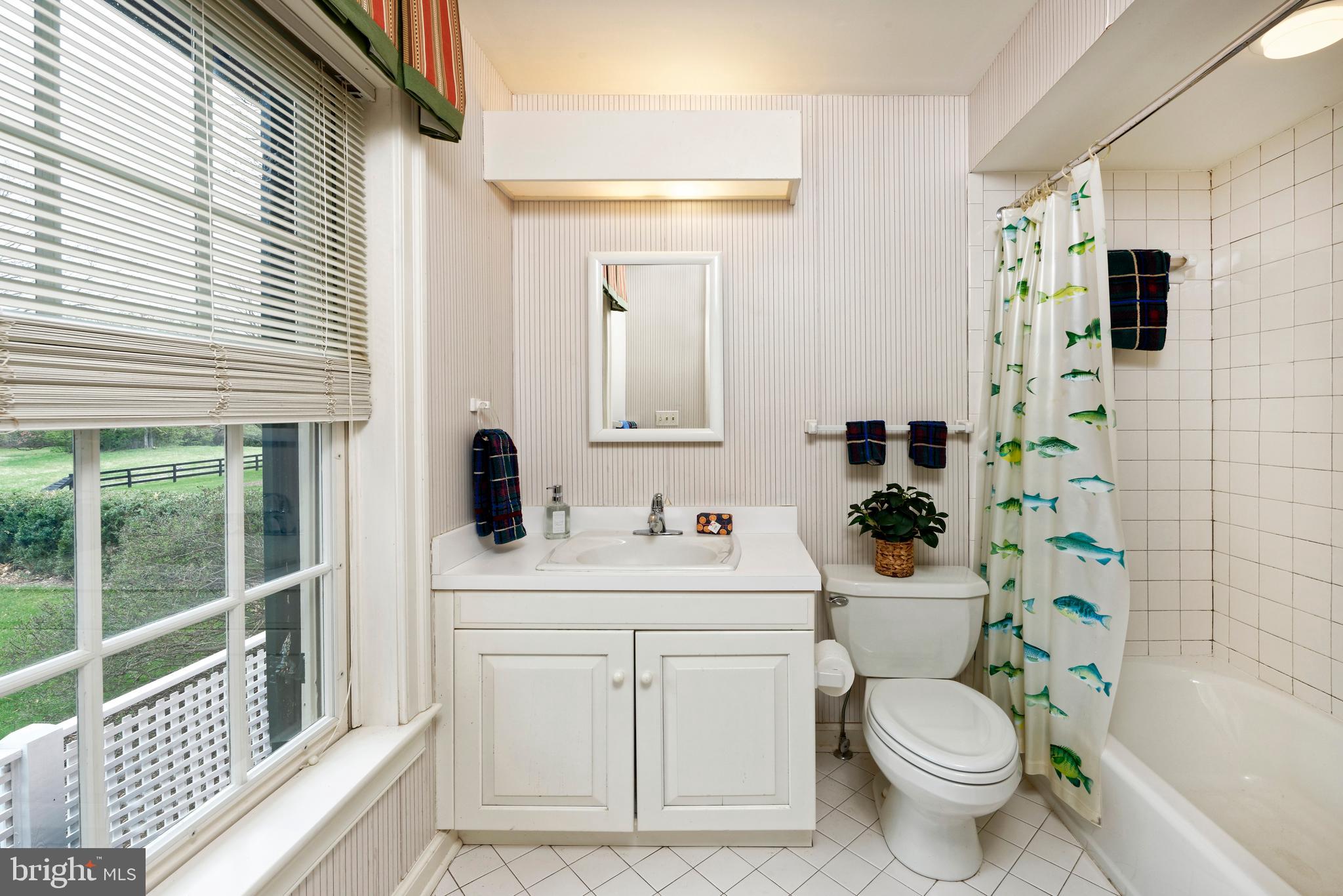 154 Clay Hill Road Boyce, VA 22620 - Photo 21 of 49 a bathroom with a sink a toilet a mirror and shower