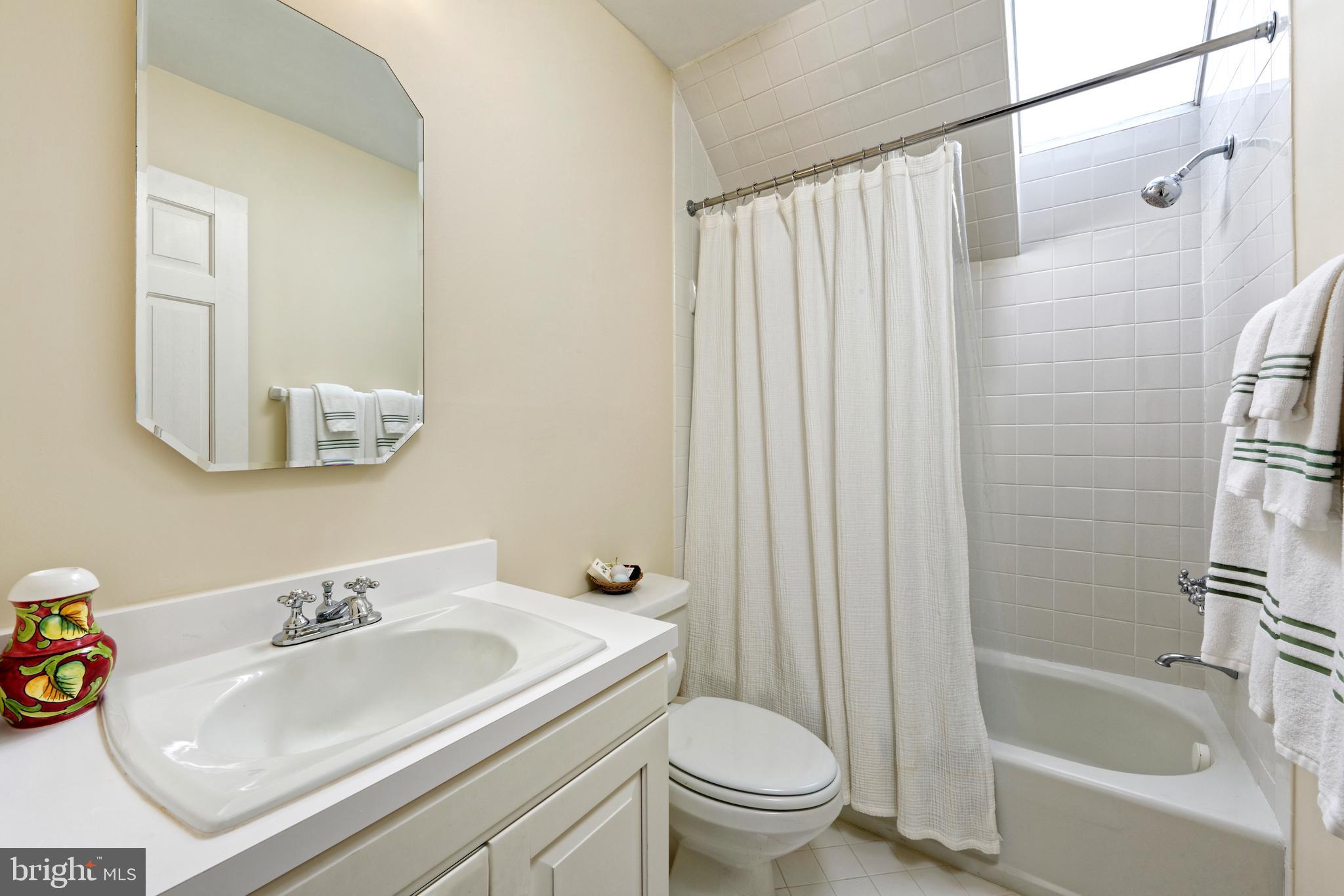 154 Clay Hill Road Boyce, VA 22620 - Photo 27 of 49 a bathroom with a sink a toilet and a bathtub
