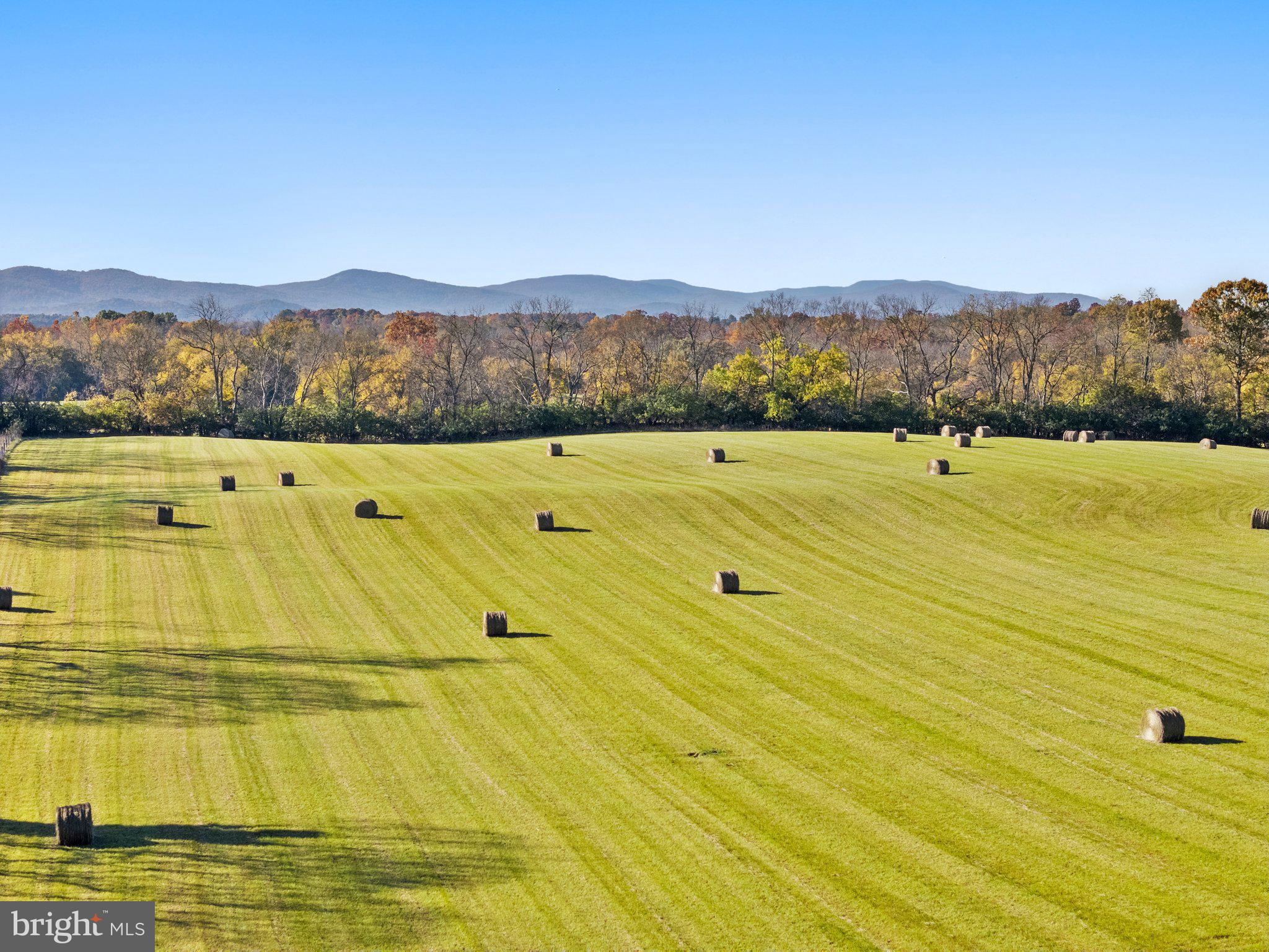 154 Clay Hill Road Boyce, VA 22620 - Photo 45 of 49 a view of an aerial view of an ocean beach