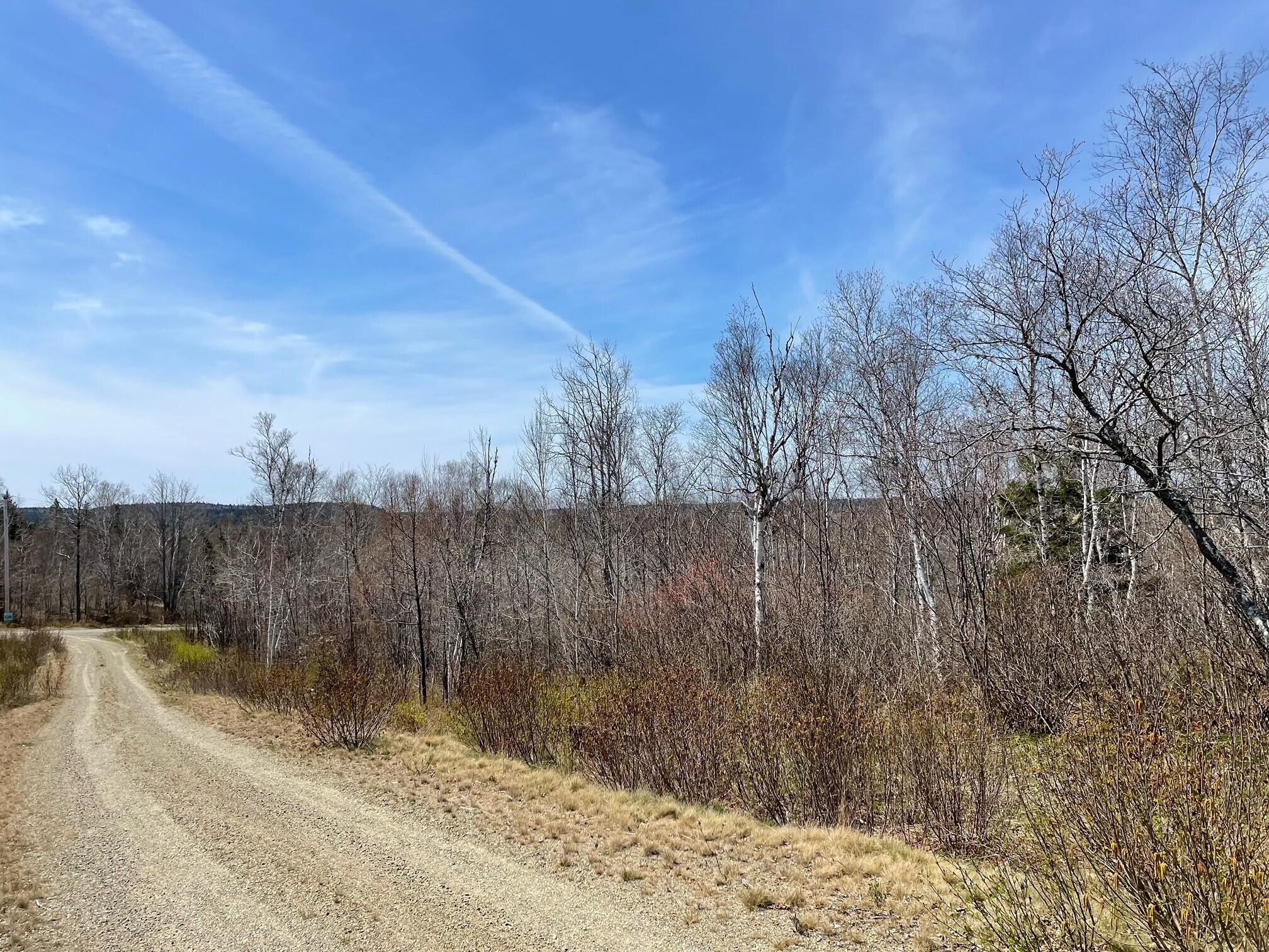 0 Reef Point Road Addison, ME 04606 - Photo 6 of 6 reef point view lot 3