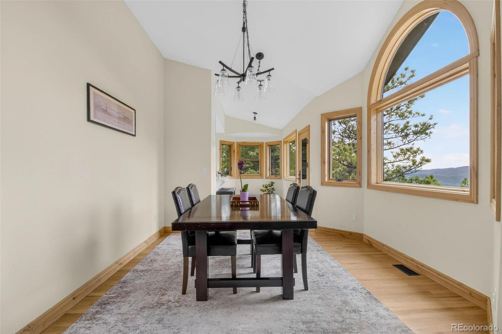 69 Spruce Court Evergreen, CO 80439 - Photo 19 of 46