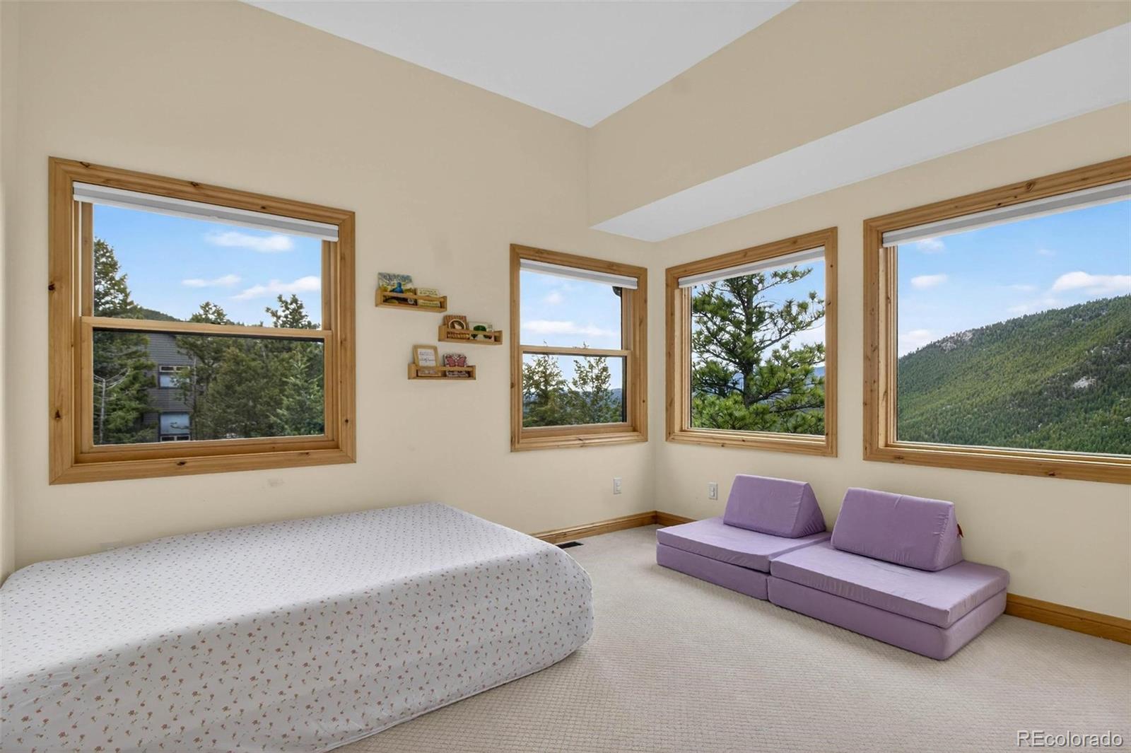 69 Spruce Court Evergreen, CO 80439 - Photo 30 of 46