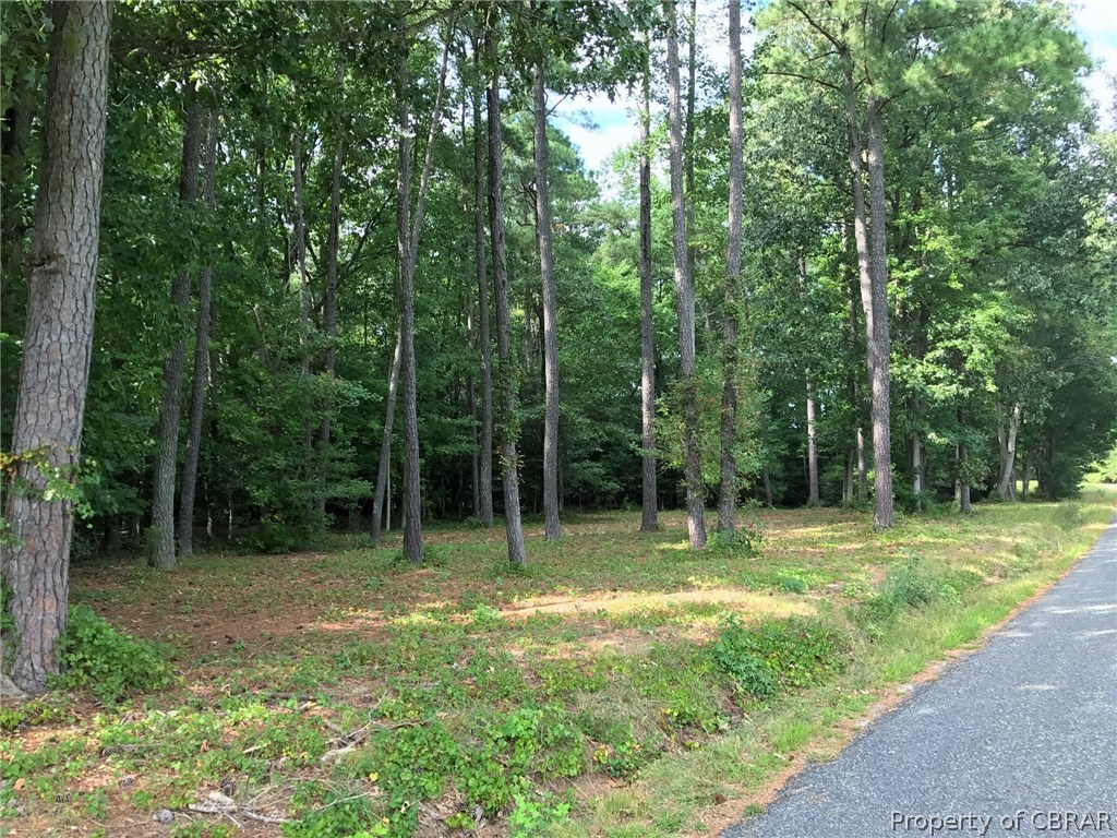 1000 Providence Road Deltaville, VA 23043 - Photo 3 of 7