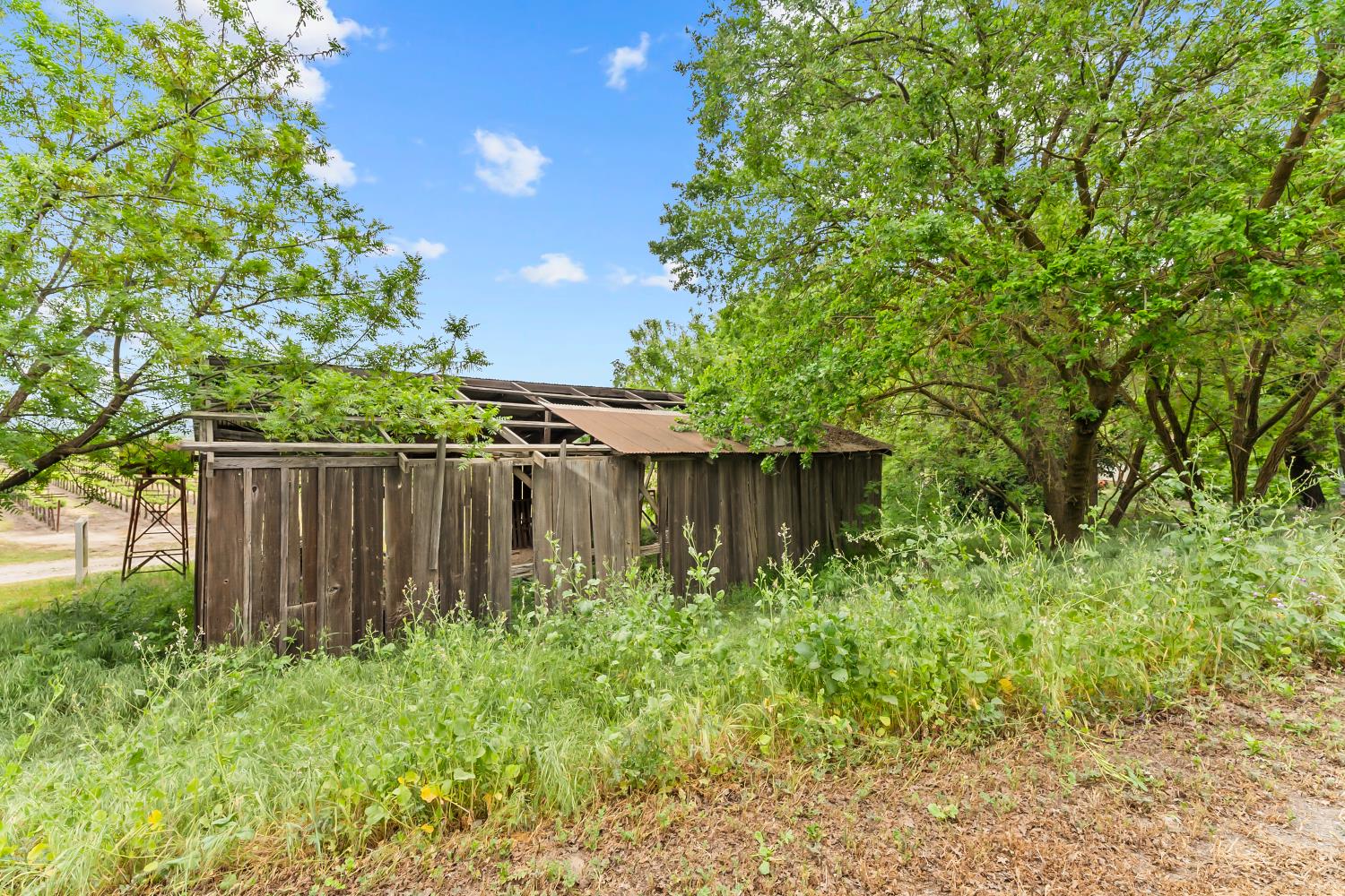 53020 South River Road Clarksburg, CA 95612 - Photo 12 of 42 a view of backyard with plants and wooden fence