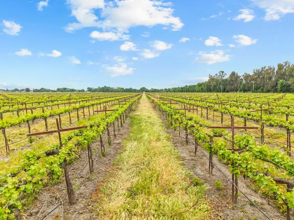 $999,000 | 53020 South River Road, Clarksburg, CA 95612