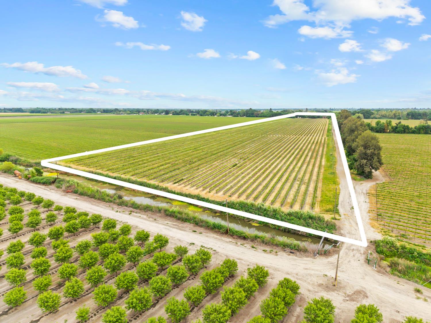 53020 South River Road Clarksburg, CA 95612 - Photo 3 of 42 a view of swimming pool with outdoor seating and yard in back