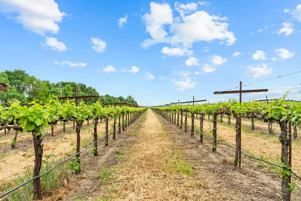 $999,000 | 53020 South River Road, Clarksburg, CA 95612