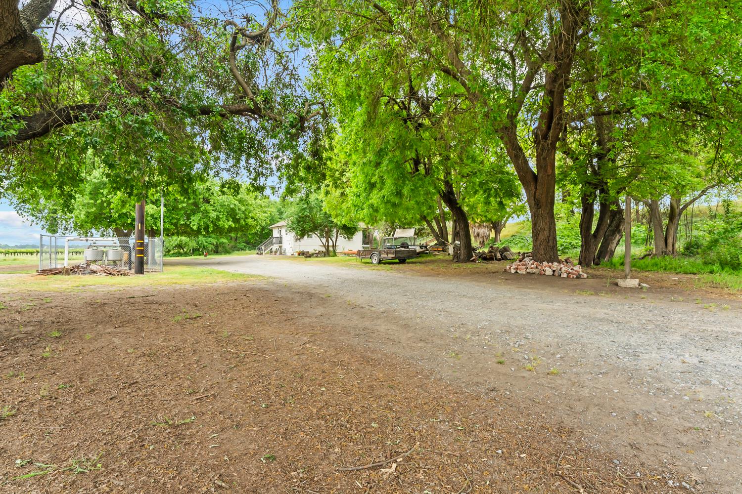 53020 South River Road Clarksburg, CA 95612 - Photo 32 of 42 a view of dirt yard with a large trees