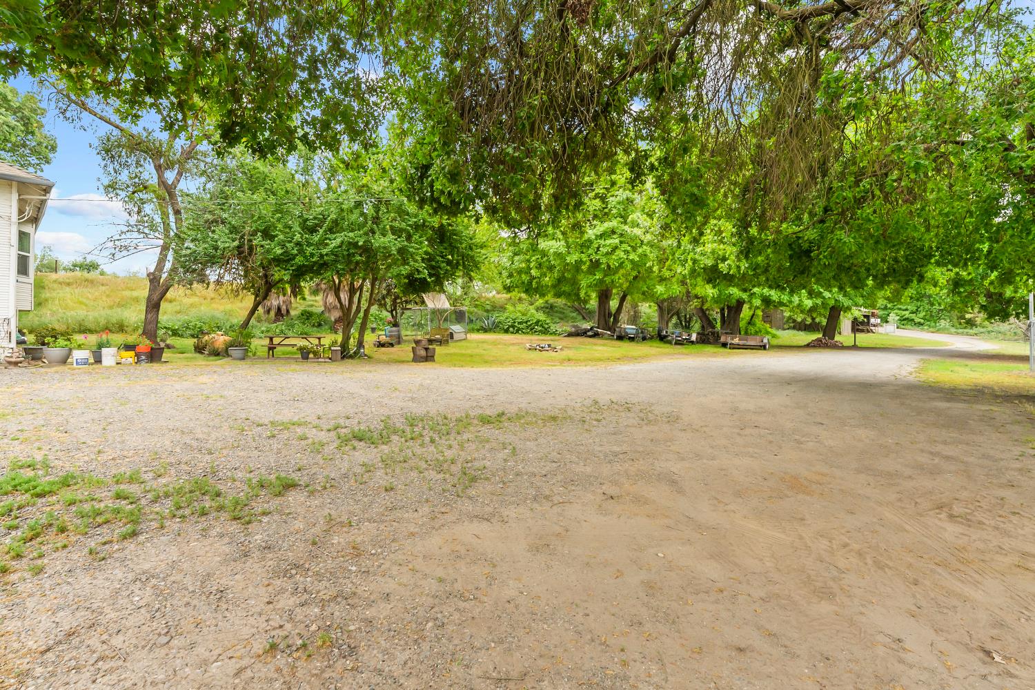 53020 South River Road Clarksburg, CA 95612 - Photo 40 of 42 a view of a yard with a trees