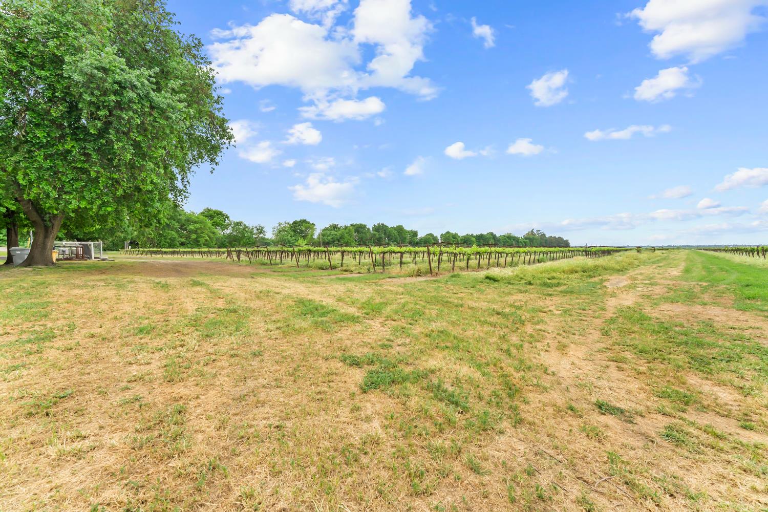 53020 South River Road Clarksburg, CA 95612 - Photo 41 of 42 a view of an ocean and a trees