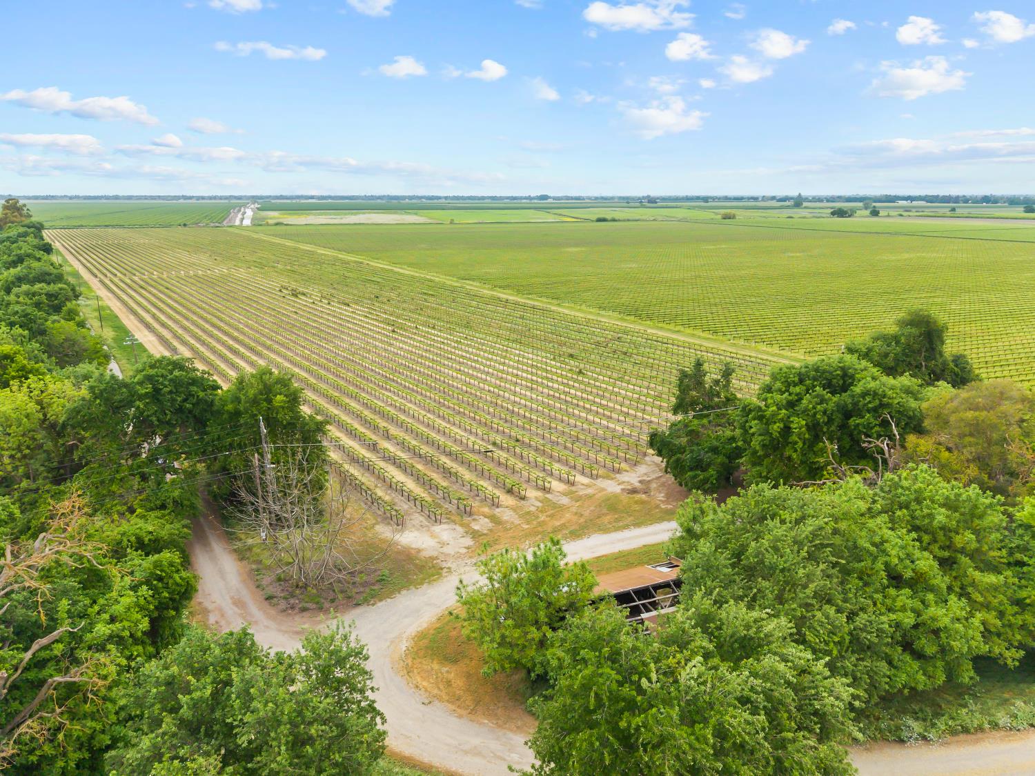 53020 South River Road Clarksburg, CA 95612 - Photo 6 of 42 a view of an ocean and a mountain