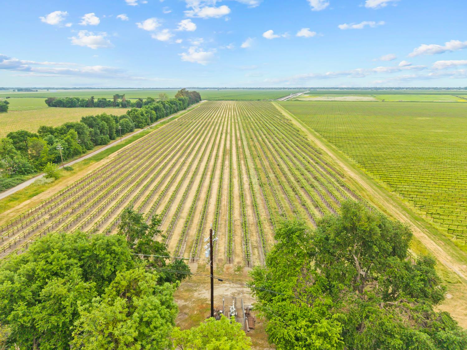 53020 South River Road Clarksburg, CA 95612 - Photo 7 of 42 a view of an ocean from a balcony
