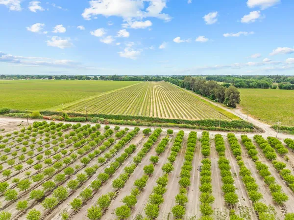 $999,000 | 53020 South River Road, Clarksburg, CA 95612