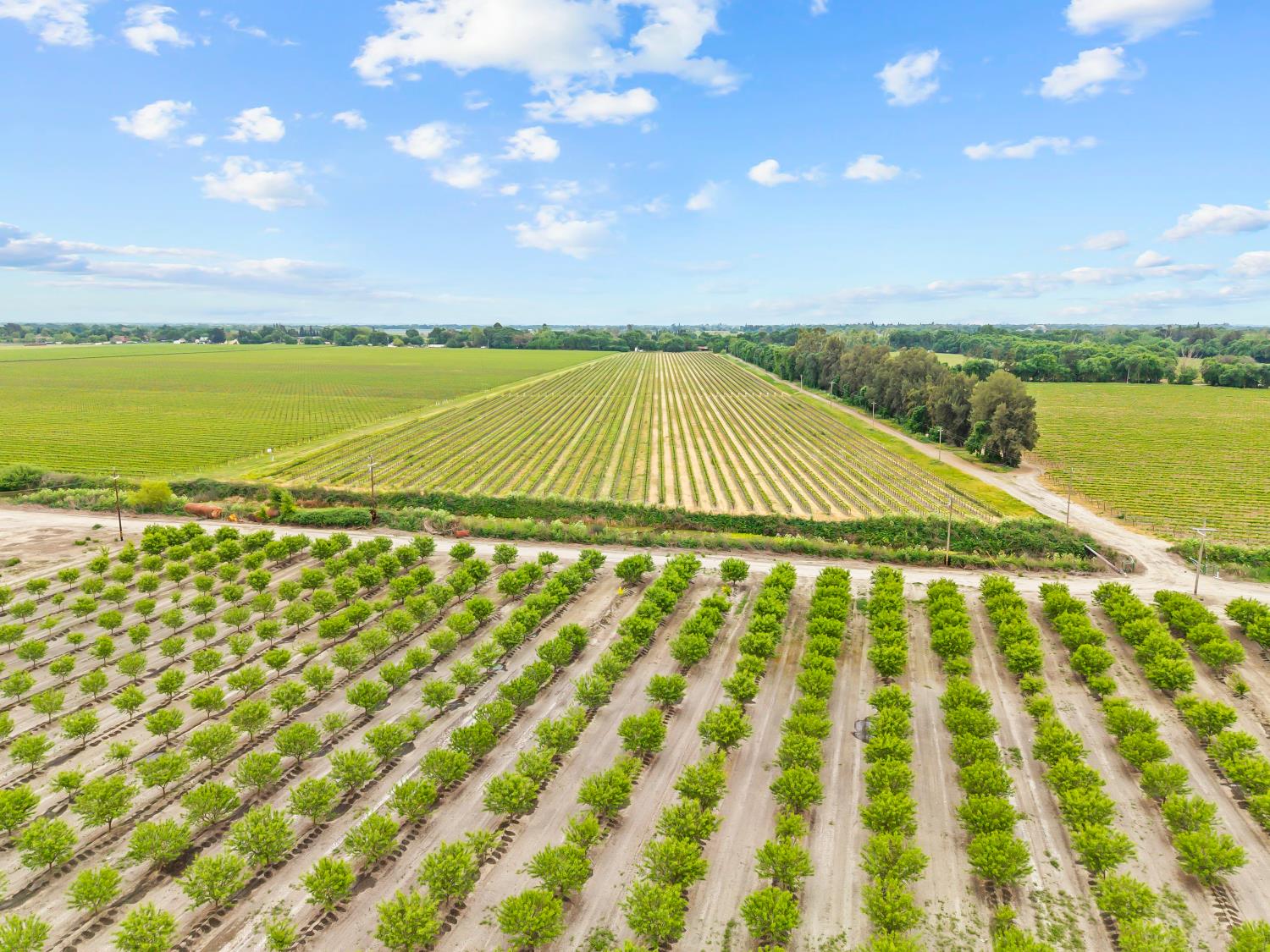 53020 South River Road Clarksburg, CA 95612 - Photo 9 of 42 a view of an outdoor space and a lake view