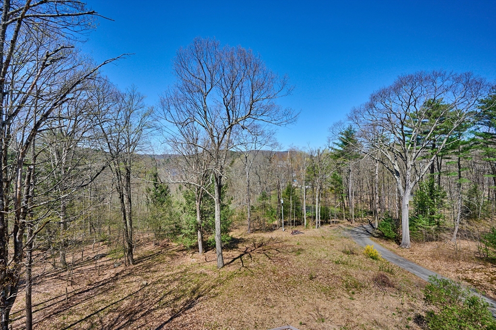 11 Shutesbury Road Leverett, MA 01054 - Photo 33 of 40 a view of a yard with trees