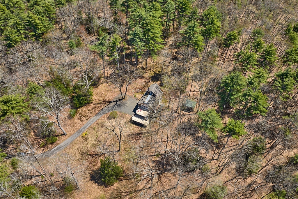 11 Shutesbury Road Leverett, MA 01054 - Photo 35 of 40 a picture of tree