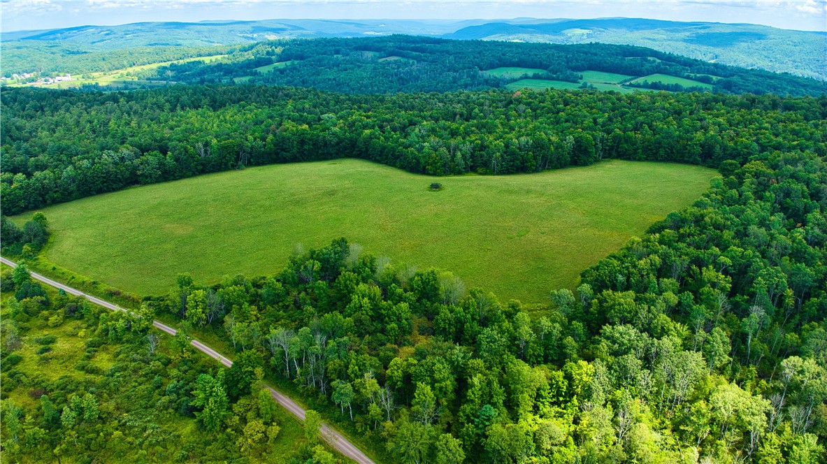 Schlafer Road Bainbridge, NY 13733 - Photo 6 of 28 Gallery Image 6