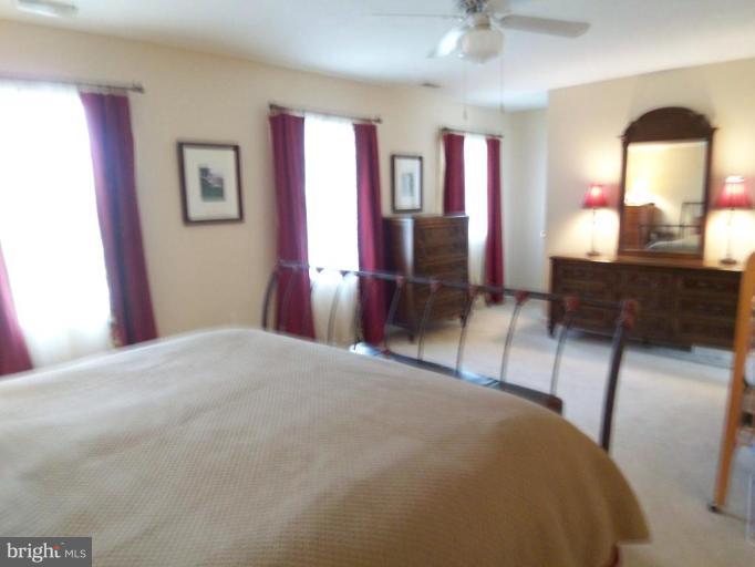 110 Asbury Road Winchester, VA 22602 - Photo 13 of 26 Master Bedroom #3