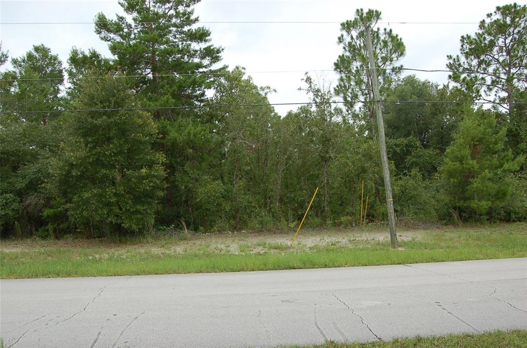 0 Southwest 133 Lane Rd Lane Northwest, Unit 12 Ocala, FL 34473 - Photo 1 of 1 Gallery Image 1
