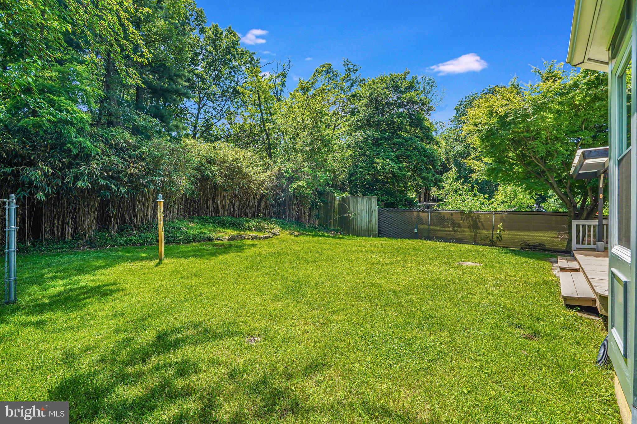 9810 Cherry Tree Lane Silver Spring, MD 20901 - Photo 41 of 43