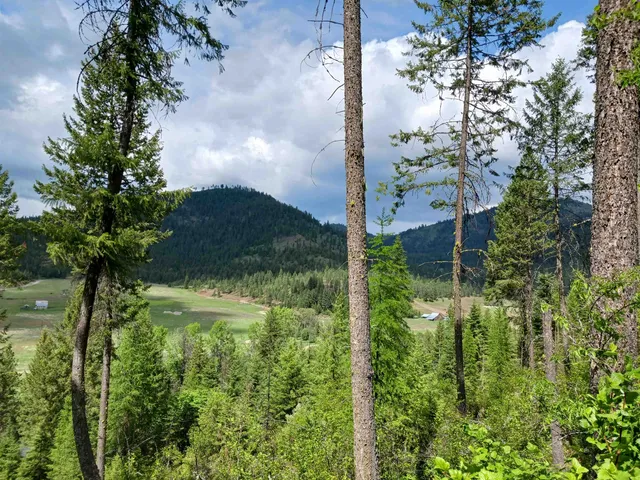 $64,999 | Parcel C Daisy Mine Road, Rice, WA 99167