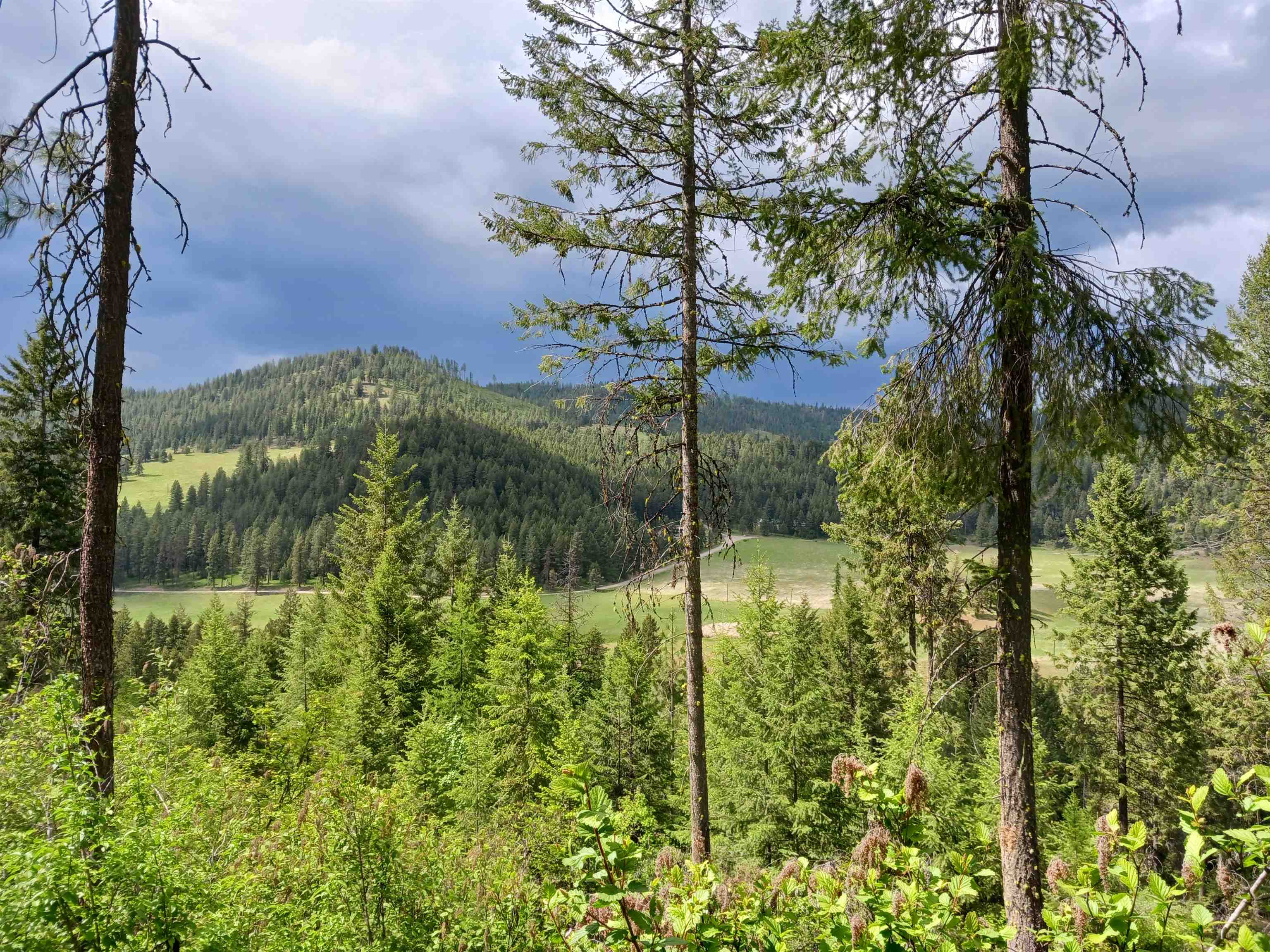 Parcel C Daisy Mine Road Rice, WA 99167 - Photo 15 of 33