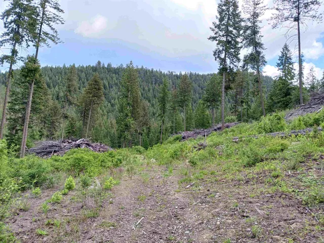 $64,999 | Parcel C Daisy Mine Road, Rice, WA 99167