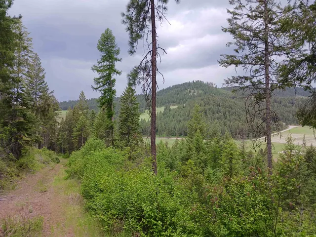 $64,999 | Parcel C Daisy Mine Road, Rice, WA 99167