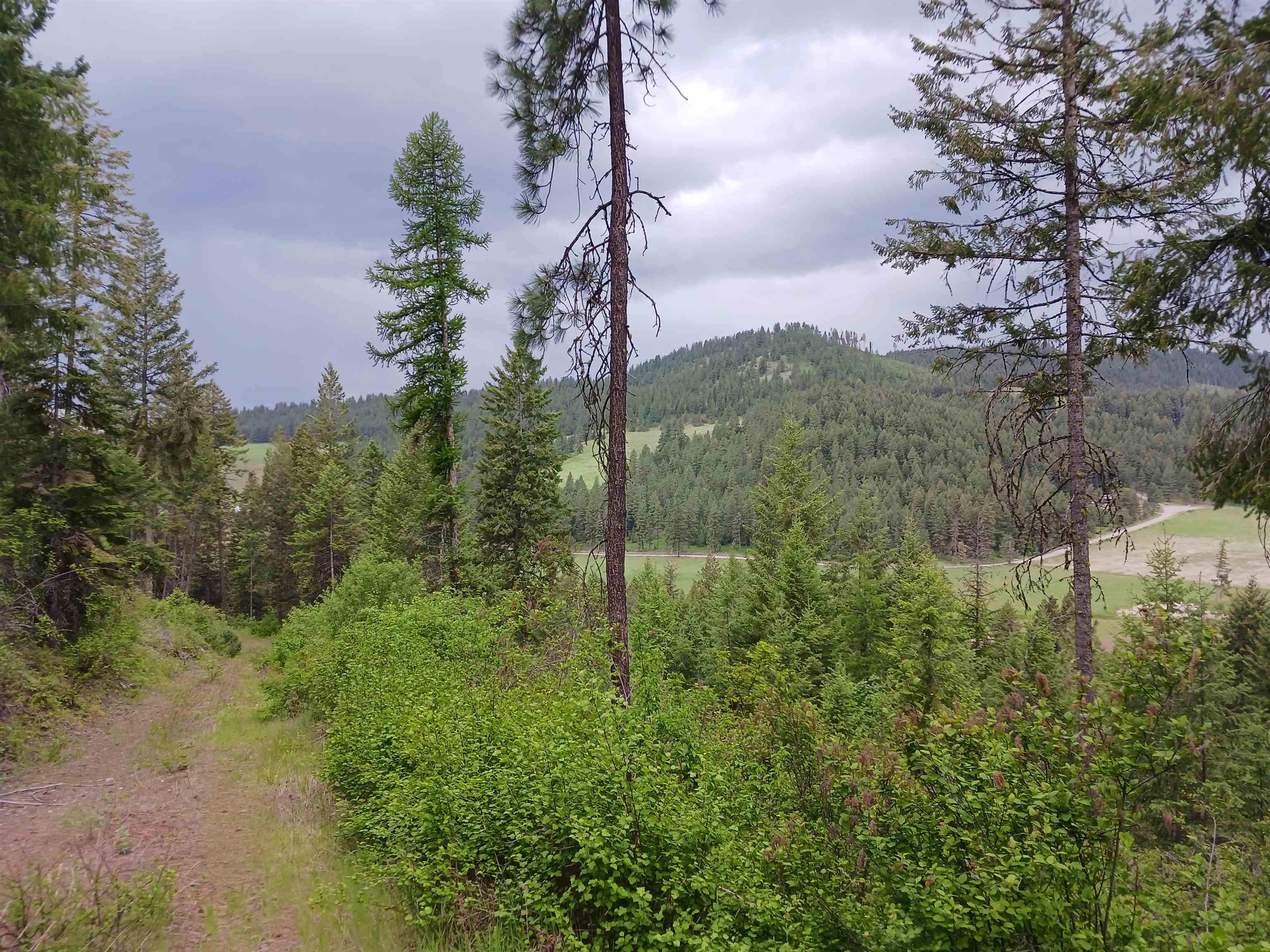 Parcel C Daisy Mine Road Rice, WA 99167 - Photo 20 of 33